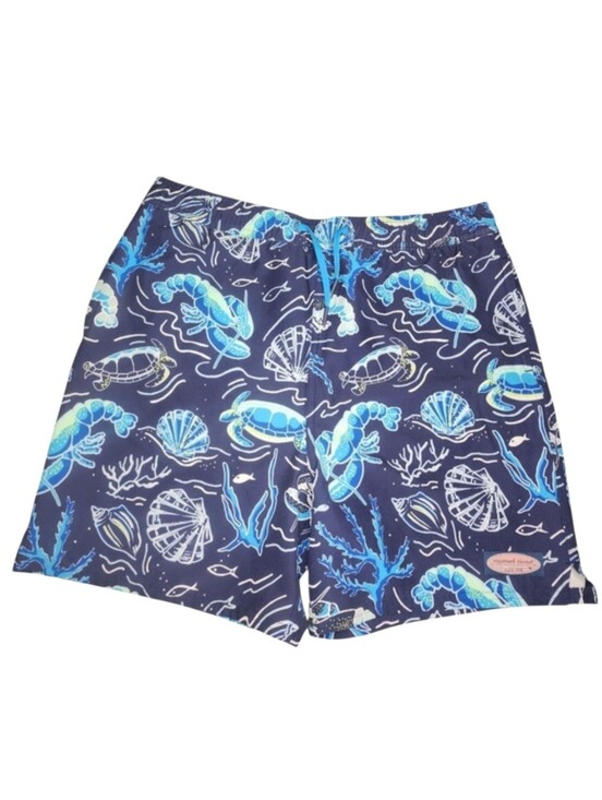 Vineyard Vines Other - Vineyard Vines Chappy Swim Trunks, Boys XL